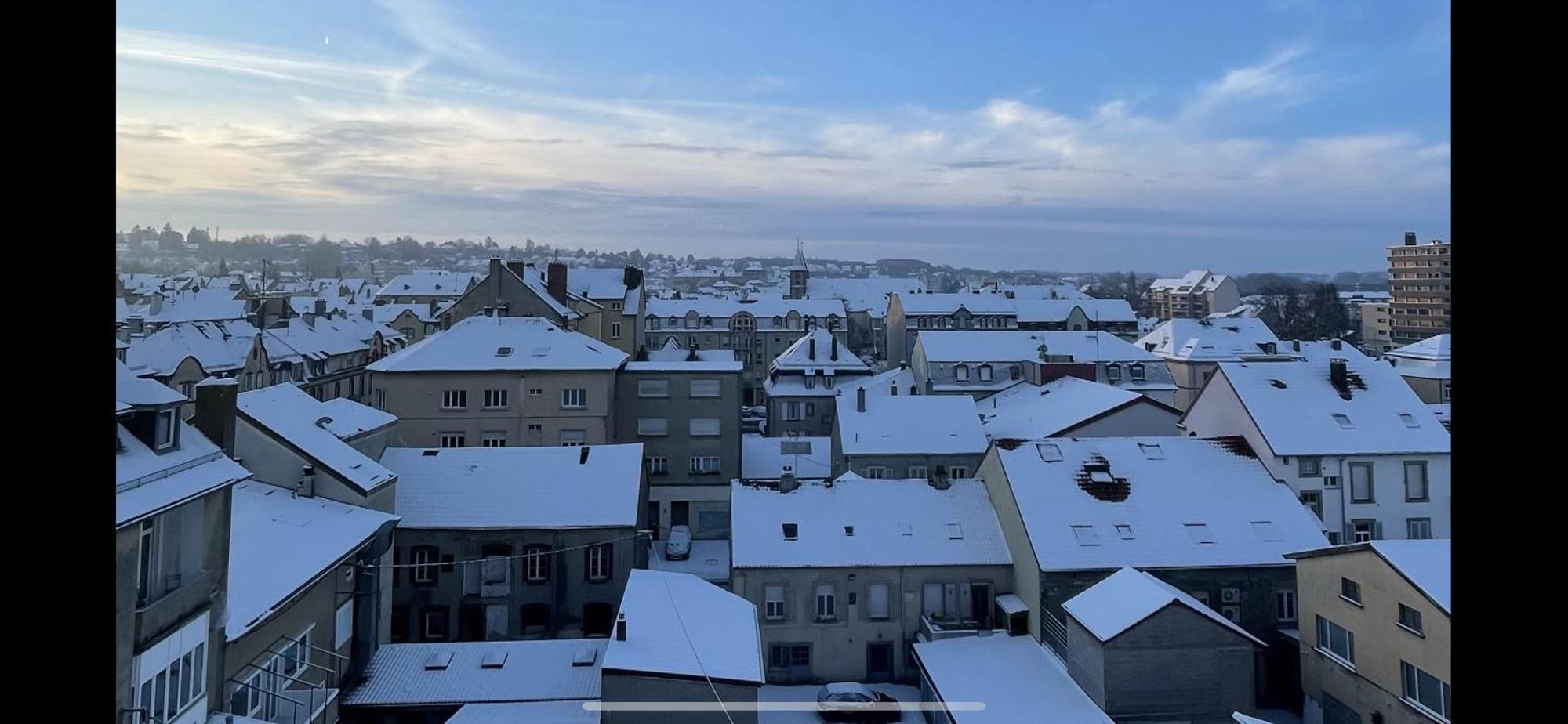 Le Perchoir - Wifi - Gare - Proche Tous Commerces Apartment Sarrebourg Bagian luar foto